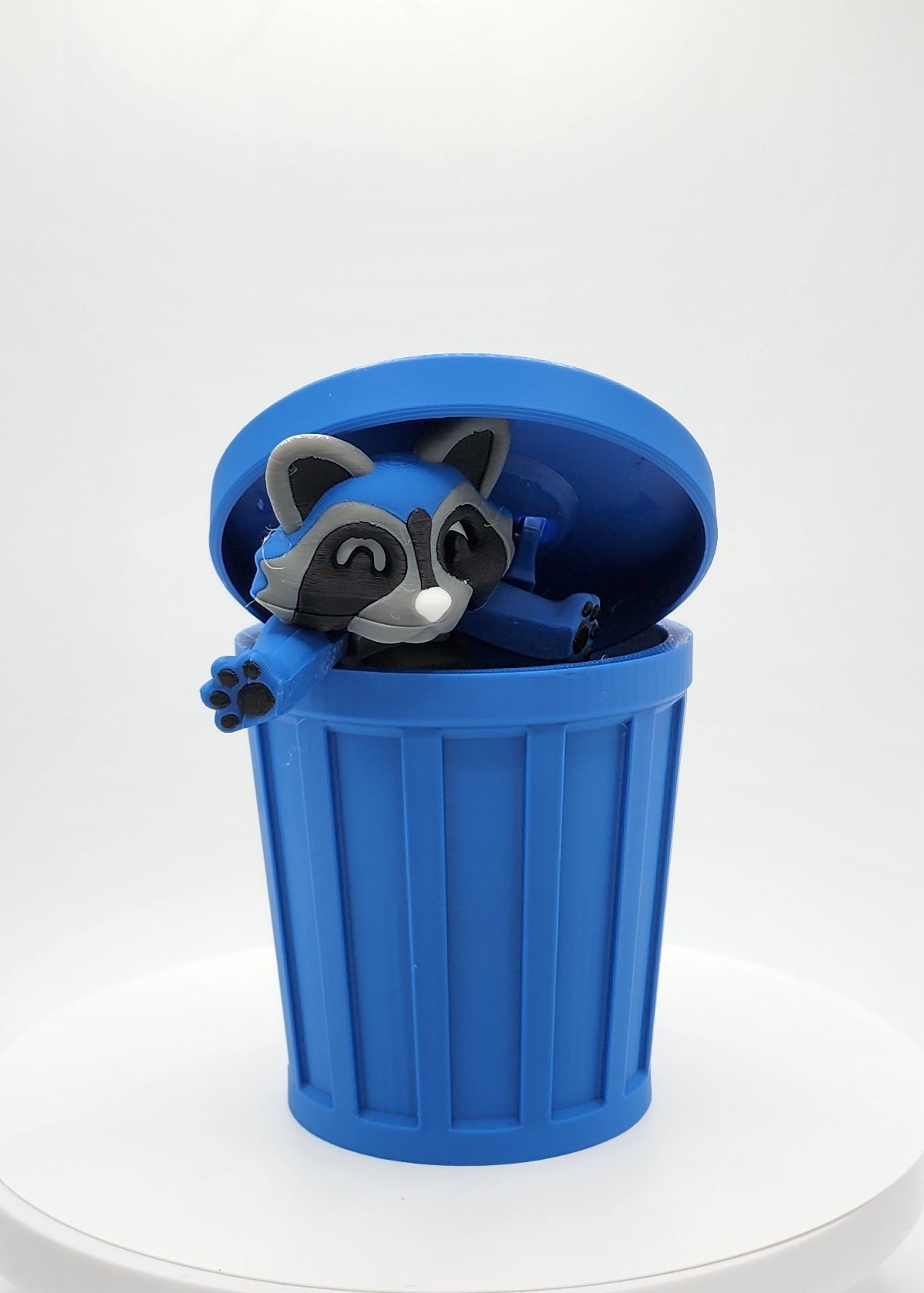 Racoon with Trash Can
